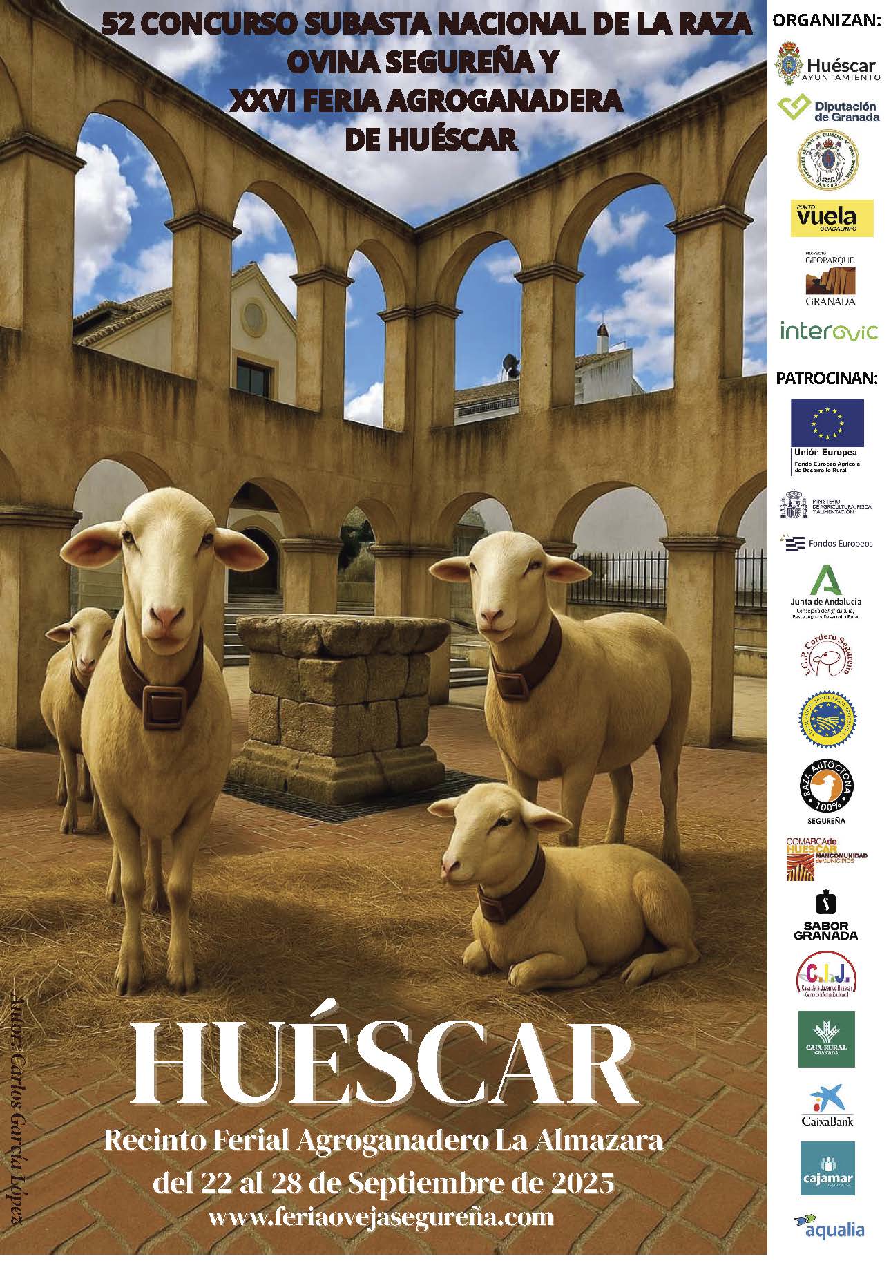 52 CONCURSO SUBASTA DE RAZA OVINA SEGUREÑA